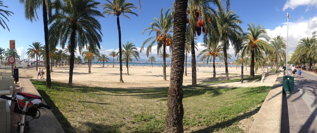 Hotell Gracia El Arenal (Mallorca)